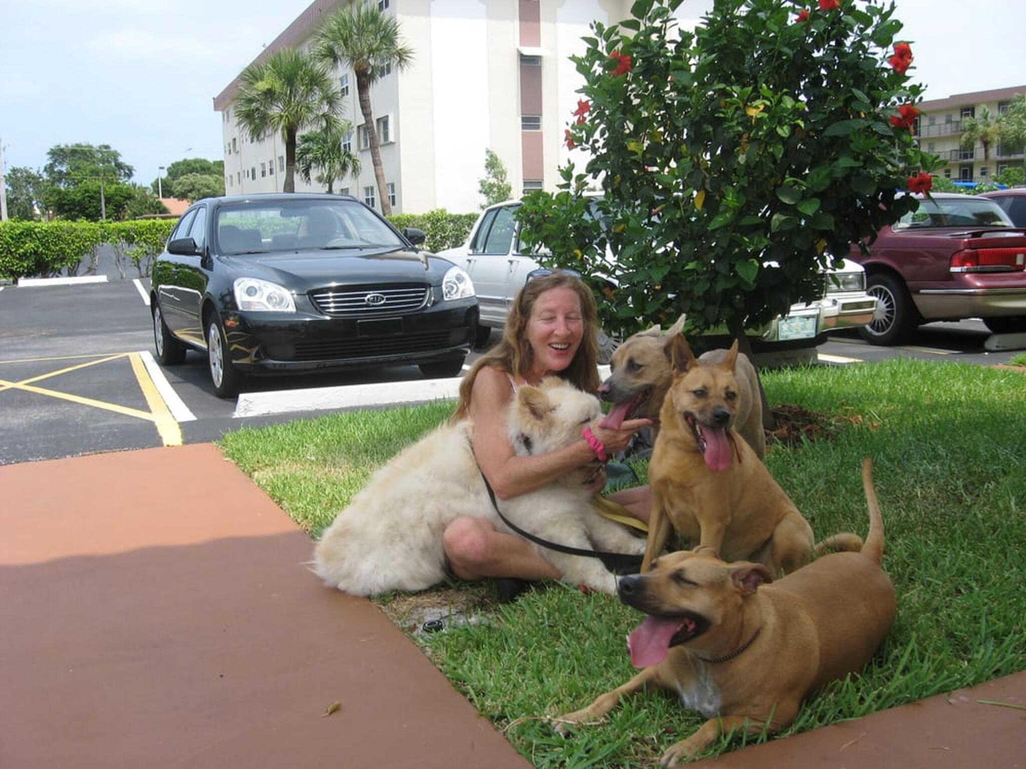 Karen Cares For Canines LLC - Dog Trainer