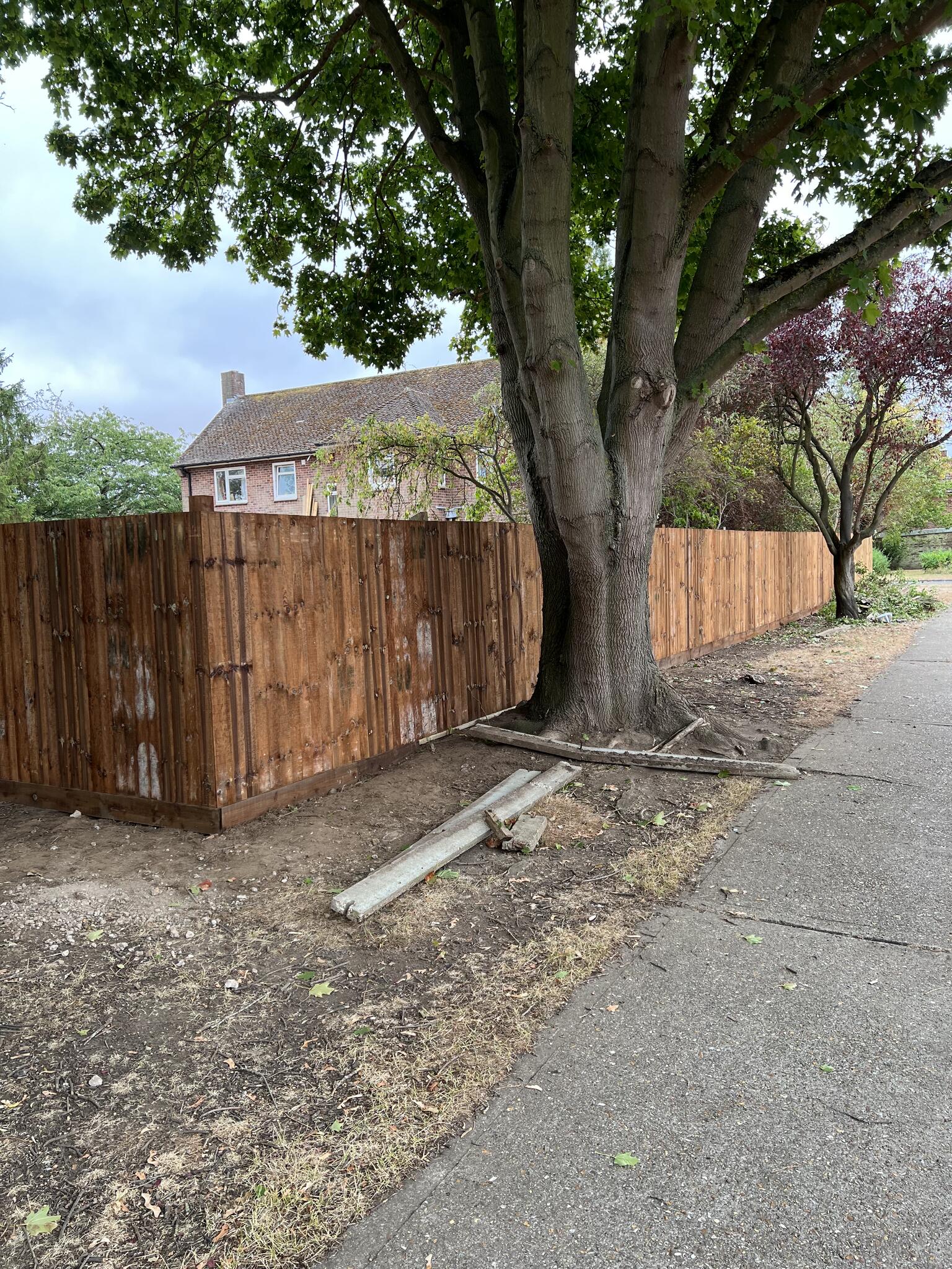 East Anglia property Improvements Thetford Nextdoor