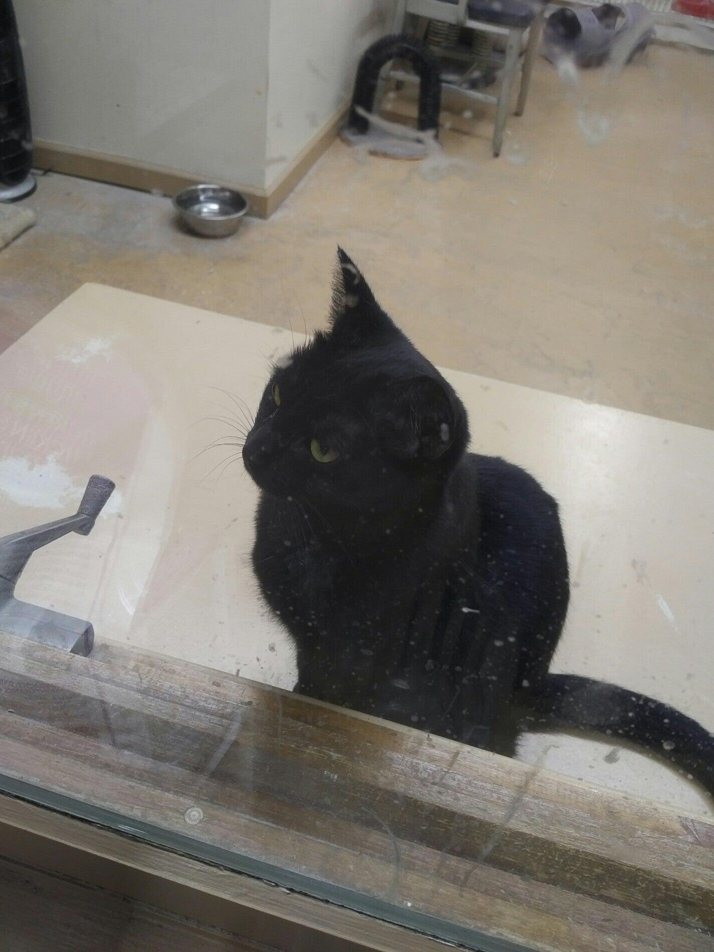 Kansas Country Store