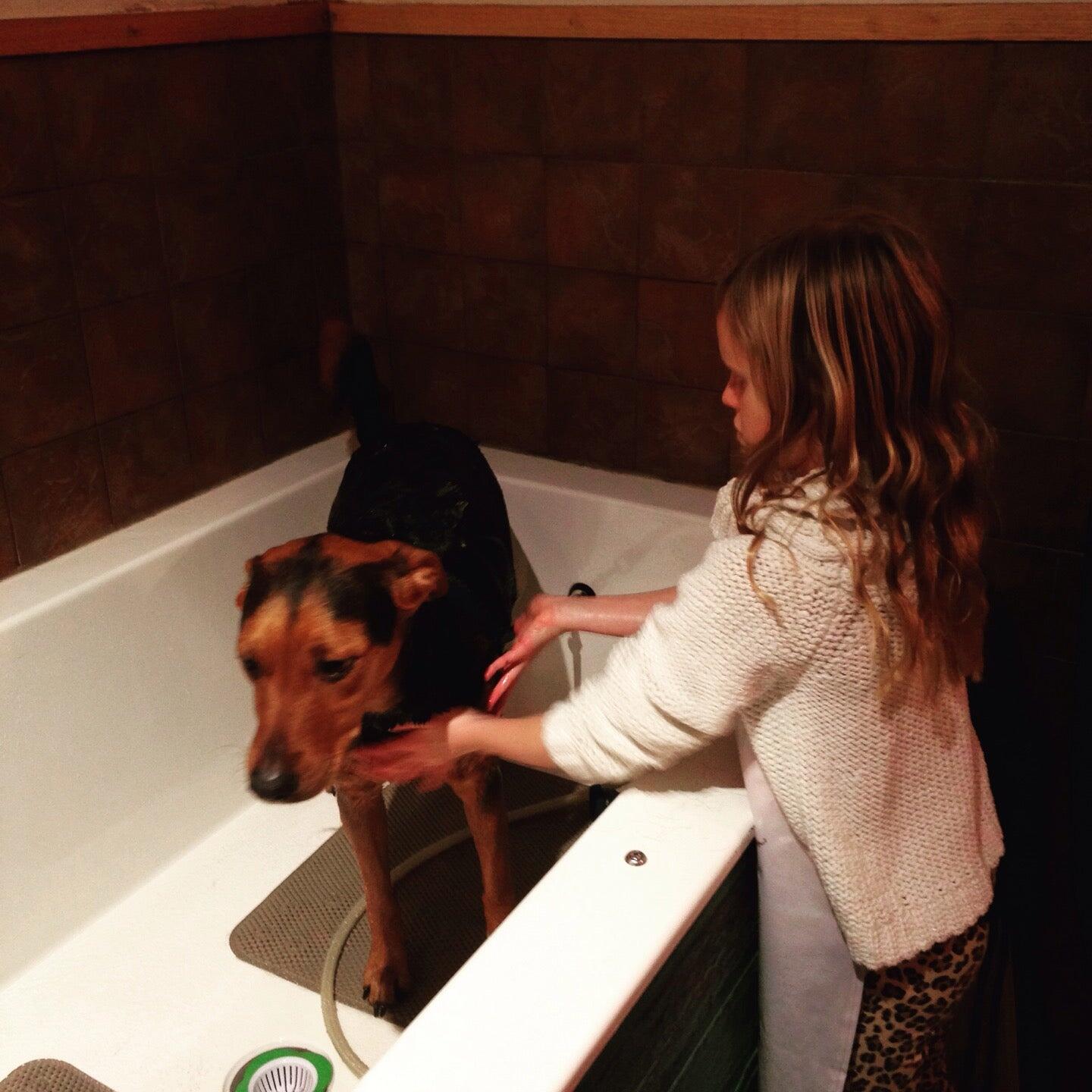 Vienna Pet Spaw LLC Vienna, VA Nextdoor