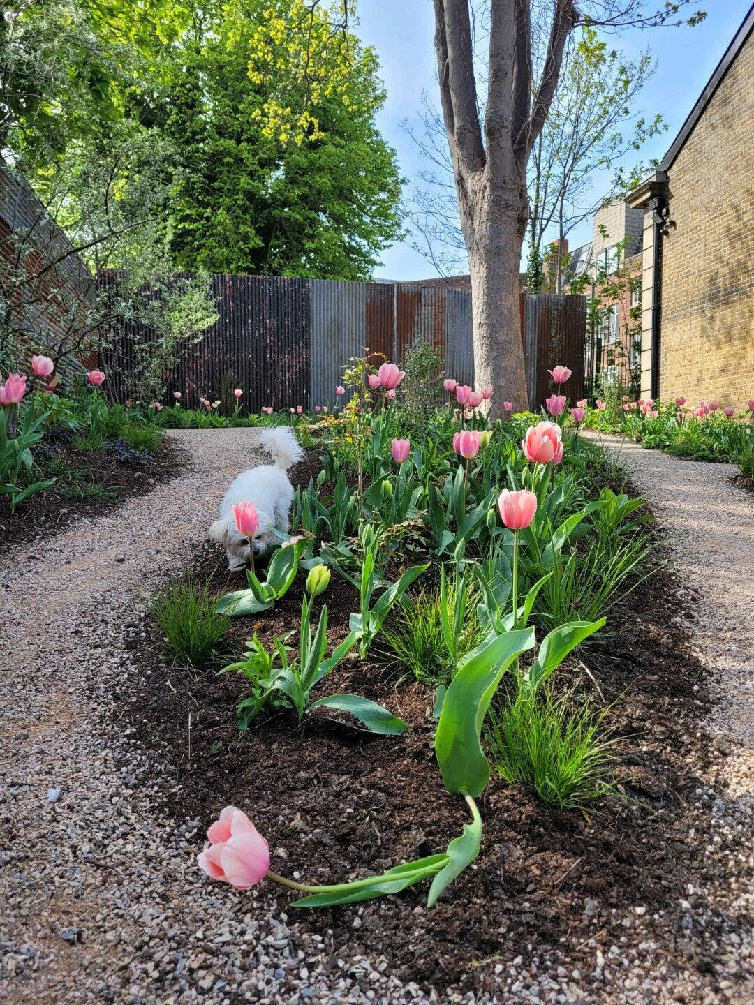 The Bookstore Cafe Erith Nextdoor The Bookstore Cafe Erith Nextdoor