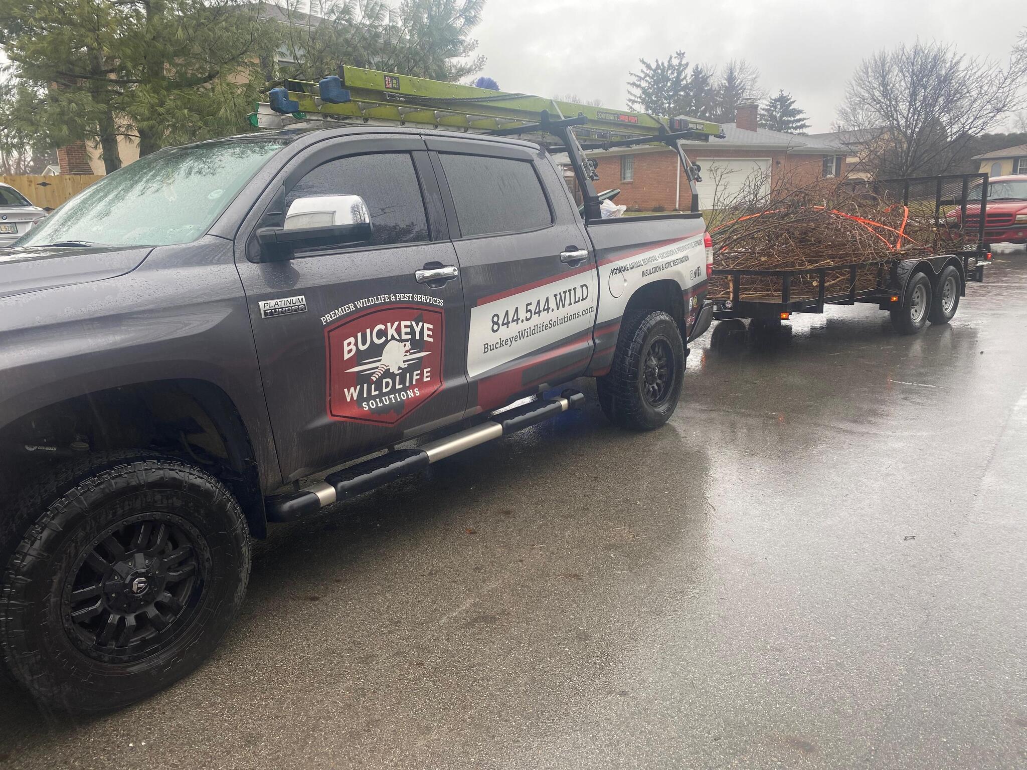 Buckeye Wildlife Solutions Delaware, OH Nextdoor