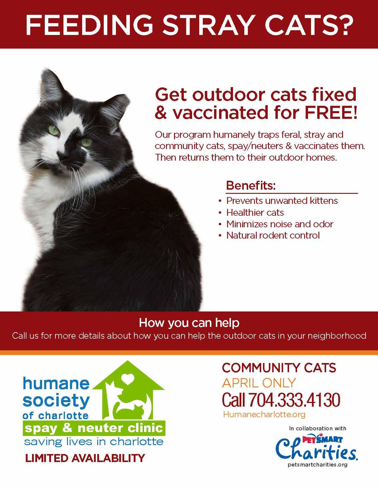 Spay Neuter Clinic Burlington Nc 07 - 2tyokce