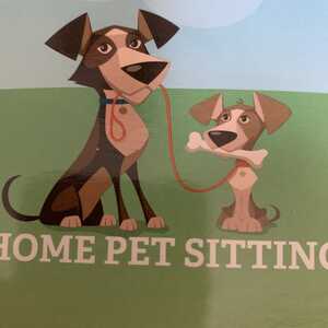 Tanic Pet Sitting - Queensbury, NY - Nextdoor