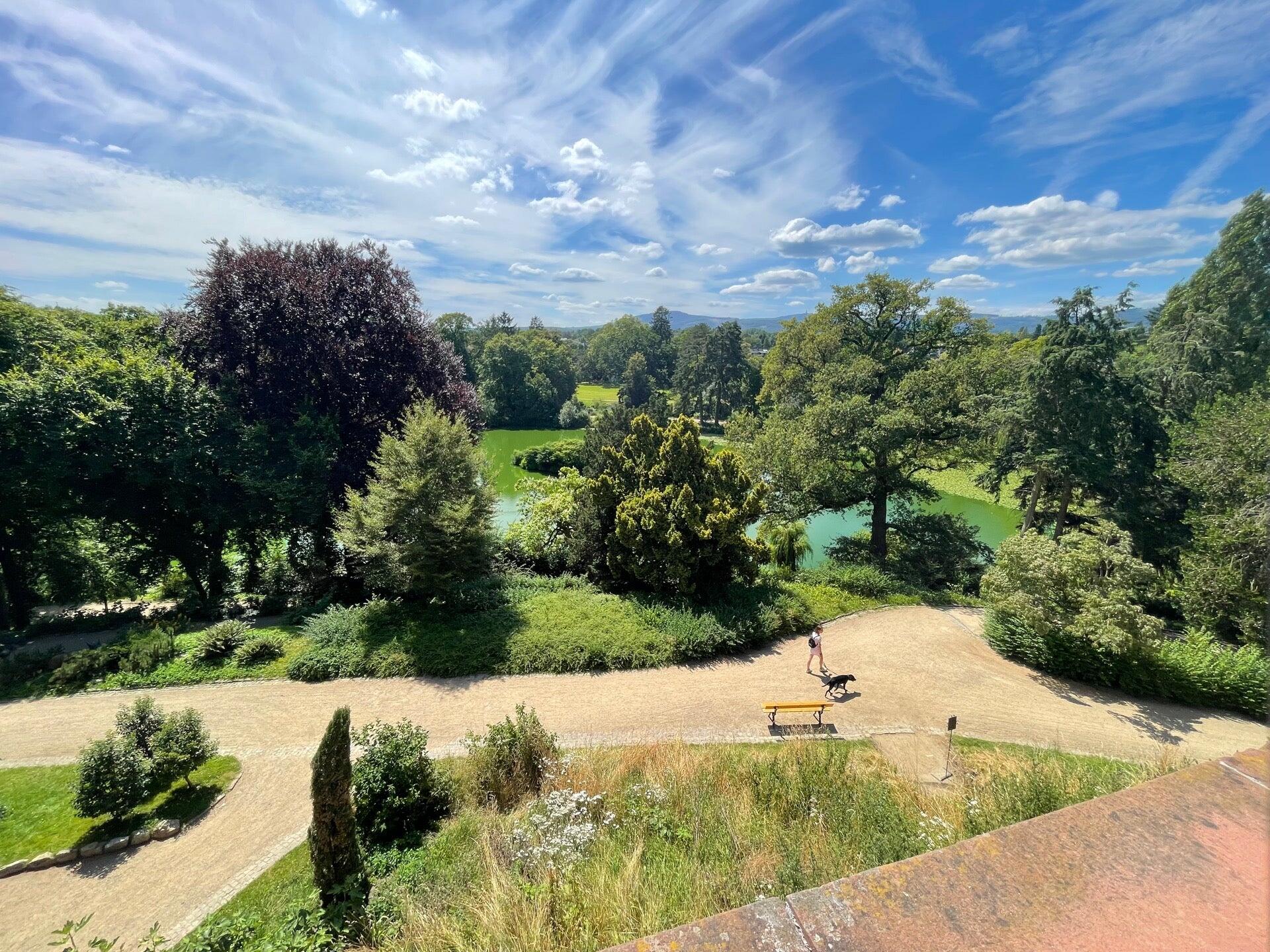 cafe im schloss bad homburg