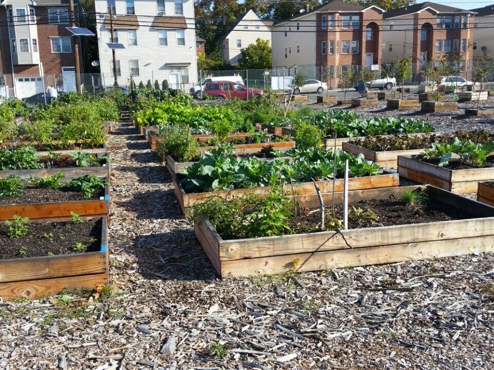 Greater Newark Conservency: Hawthorne Hawks Farm - Newark, NJ - Nextdoor