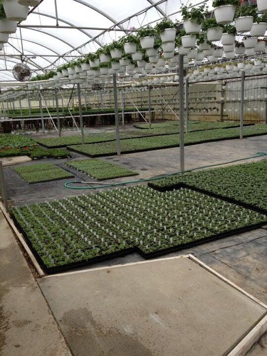 Jacobsen's Floral & Greenhouse Sparta, MI Nextdoor