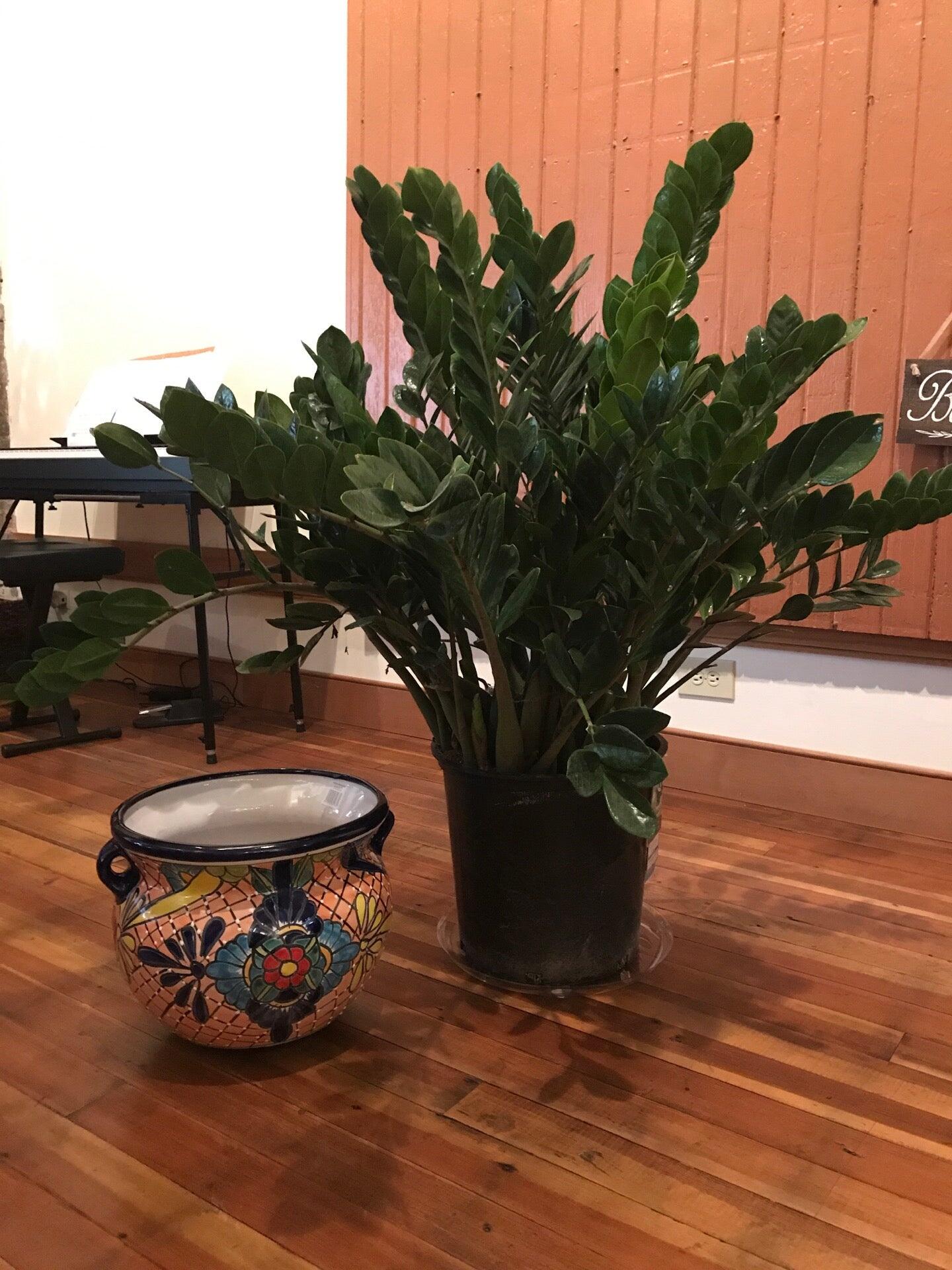 Ace Hardware Lincoln, IL Nextdoor