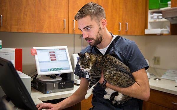 Mendocino Animal Hospital