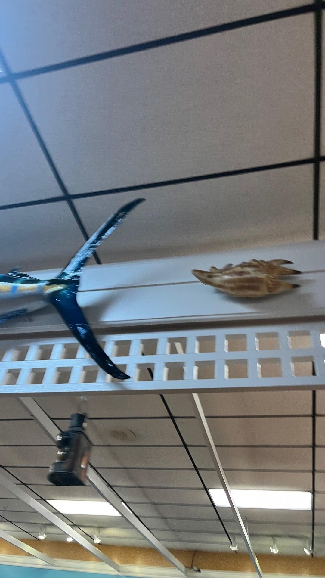 Mayflower Seafood Restaurant - Greensboro, NC - Nextdoor
