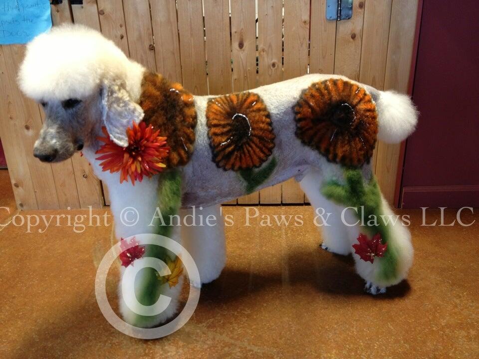 Andie's Paws & Claws LLC