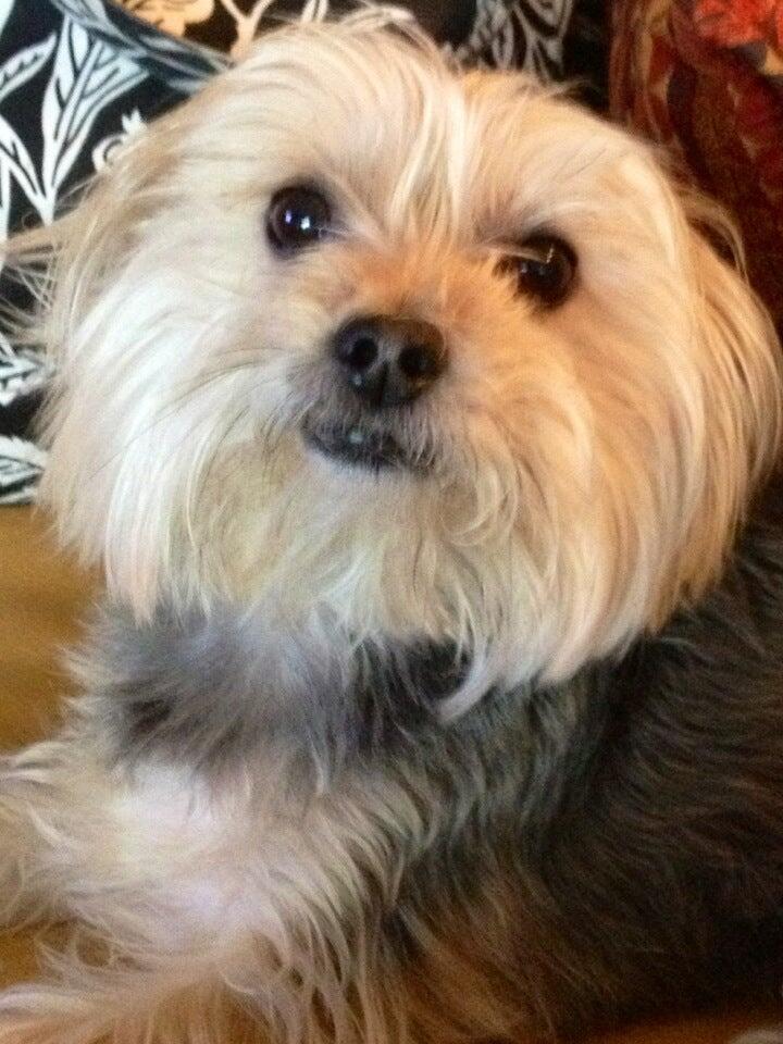 Brookside Animal Hospital