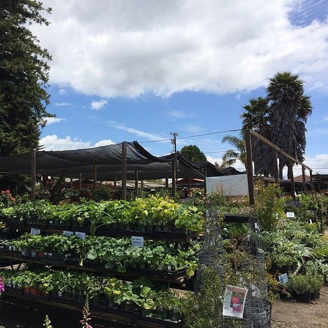 Far West Nursery Santa Cruz CA Nextdoor