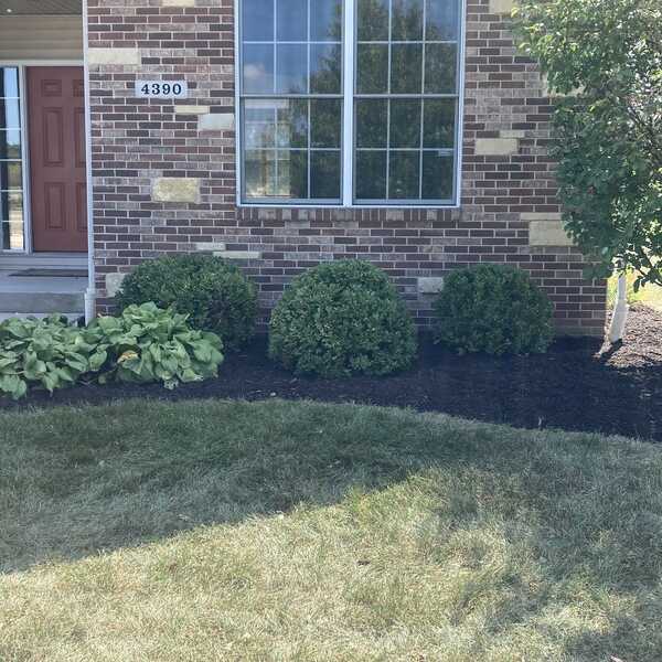 3 Bros Landscaping And Painting 11, Quality Lawn And Landscape Bros