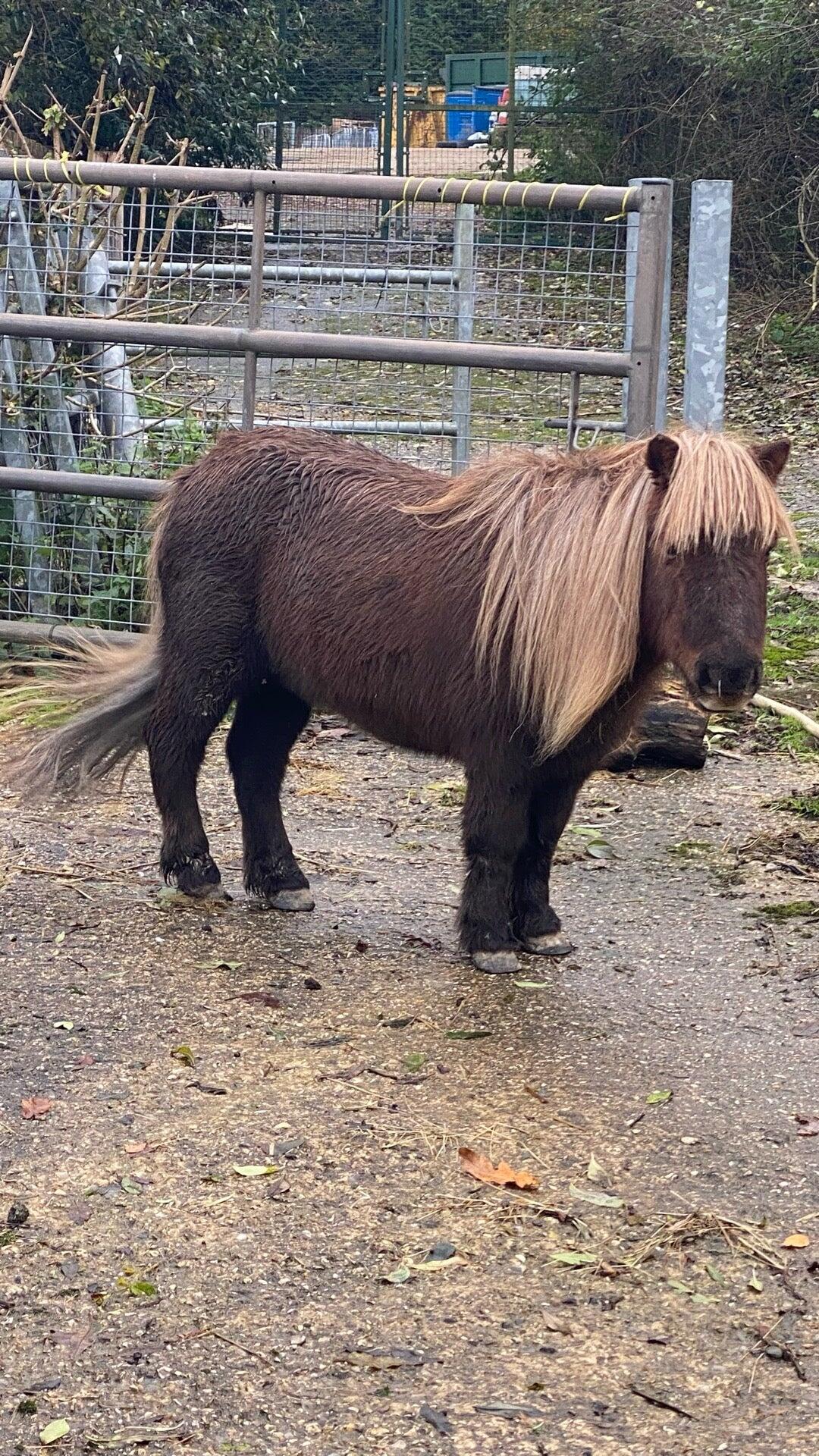 tilgate-park-nature-centre-crawley-nextdoor