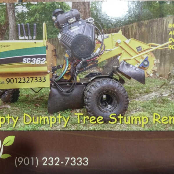 Stumpty Dumpty Stump Removal and Power Washing - 4 Connections - Germantown,  TN