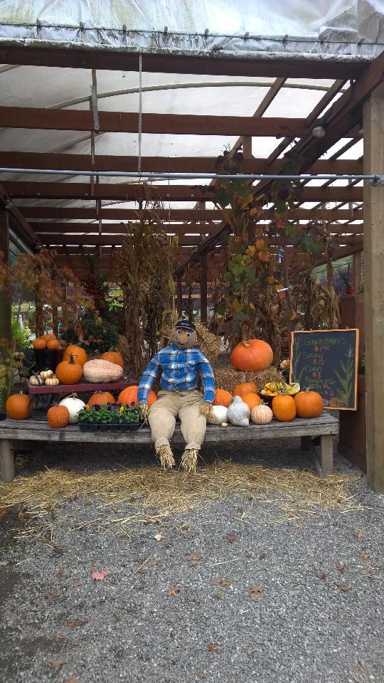 Gray Barn Nursery Redmond, WA Nextdoor