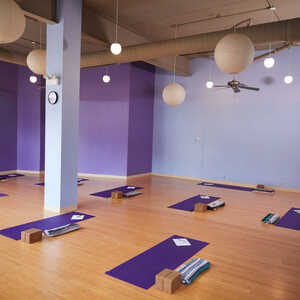 Yoga 101  Bloom Yoga Studio
