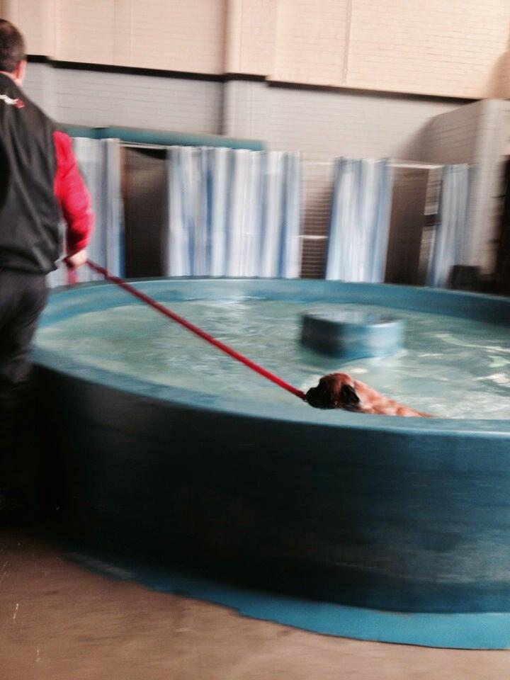 K9 Therapy Centre Middlesbrough Nextdoor