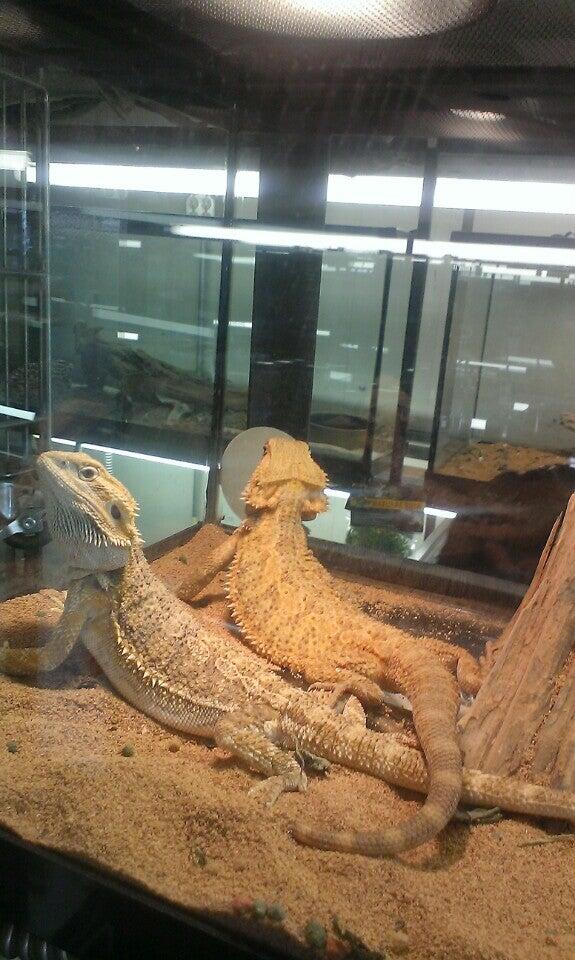 Reptile Emporium & Aquatic Center Highland, IN Nextdoor