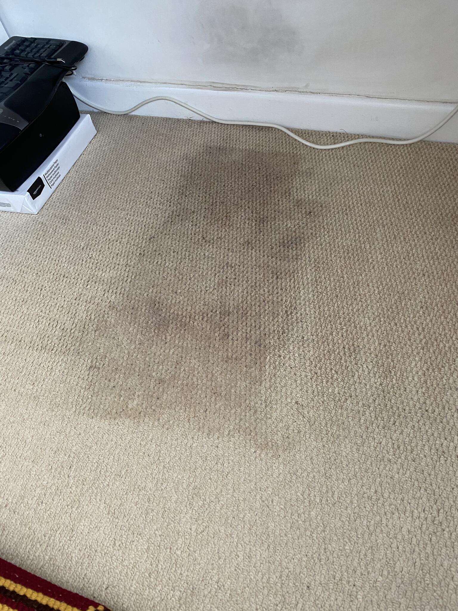 Andover carpet cleaning co an ultraclean professional company Andover