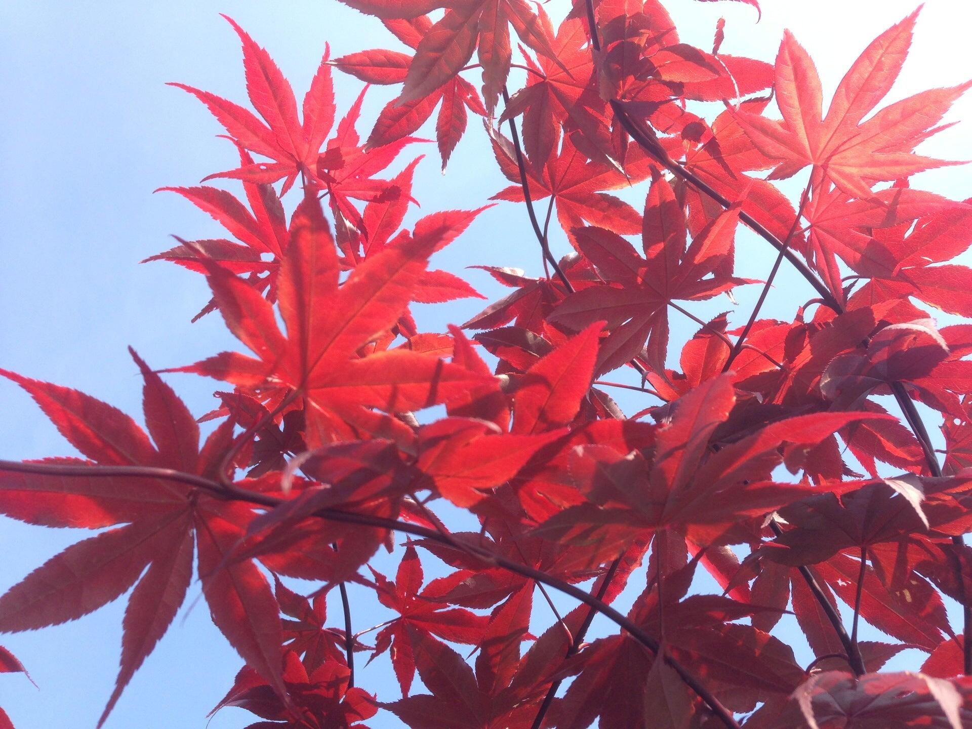 Valley View Farms Cockeysville, MD Nextdoor