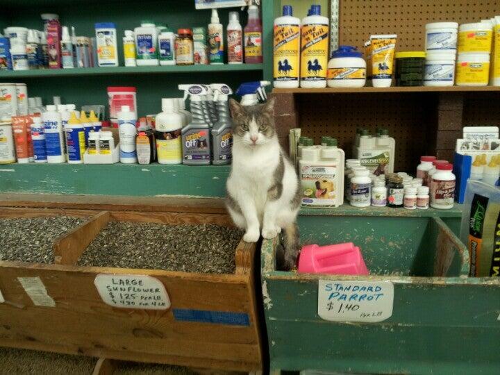 Alamo feed & pet fashion supply