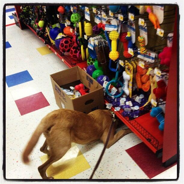 Petco