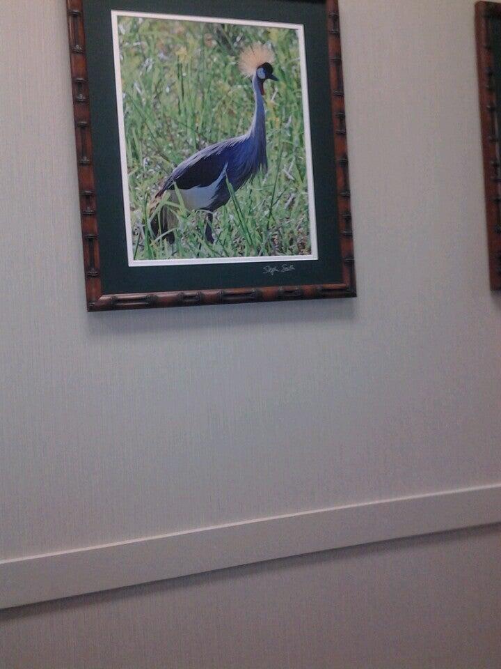 Guilford Medical Associates Greensboro, NC Nextdoor