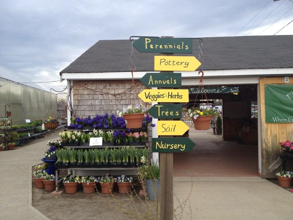 Flower Power Enfield Ct Best Flower Site