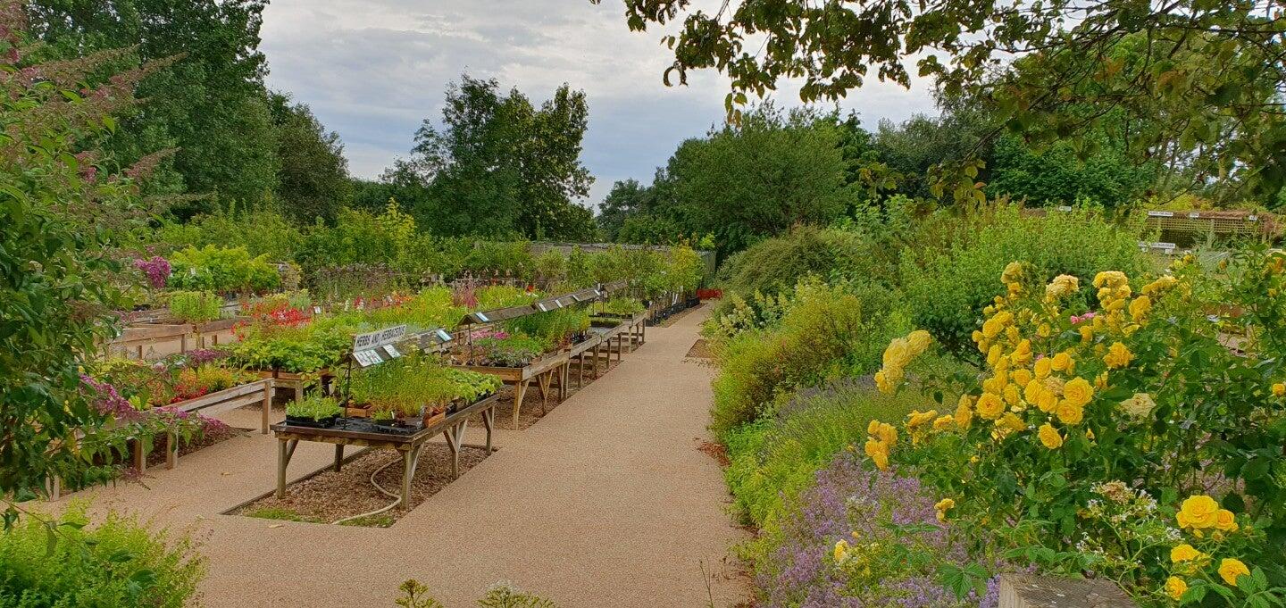 National Herb Centre Warmington Nextdoor