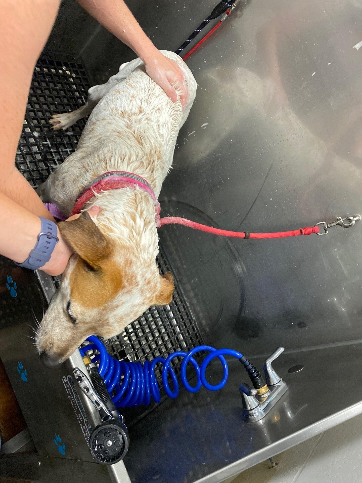 All Fur Paws Pet Market Edmond, OK Nextdoor