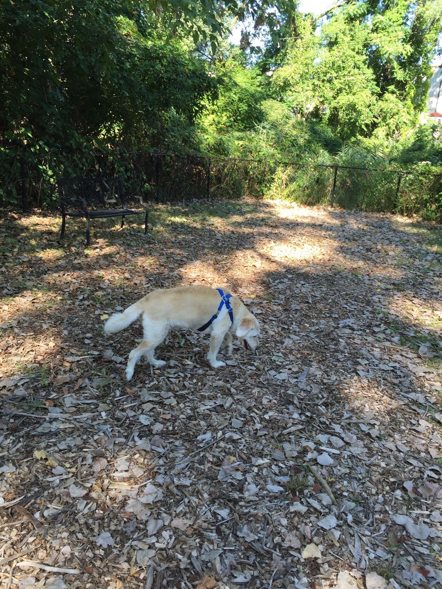 Piermont Community Dog Run