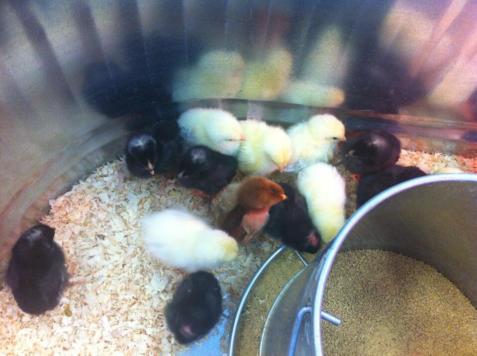 Farm Supply Arroyo Grande, CA Nextdoor