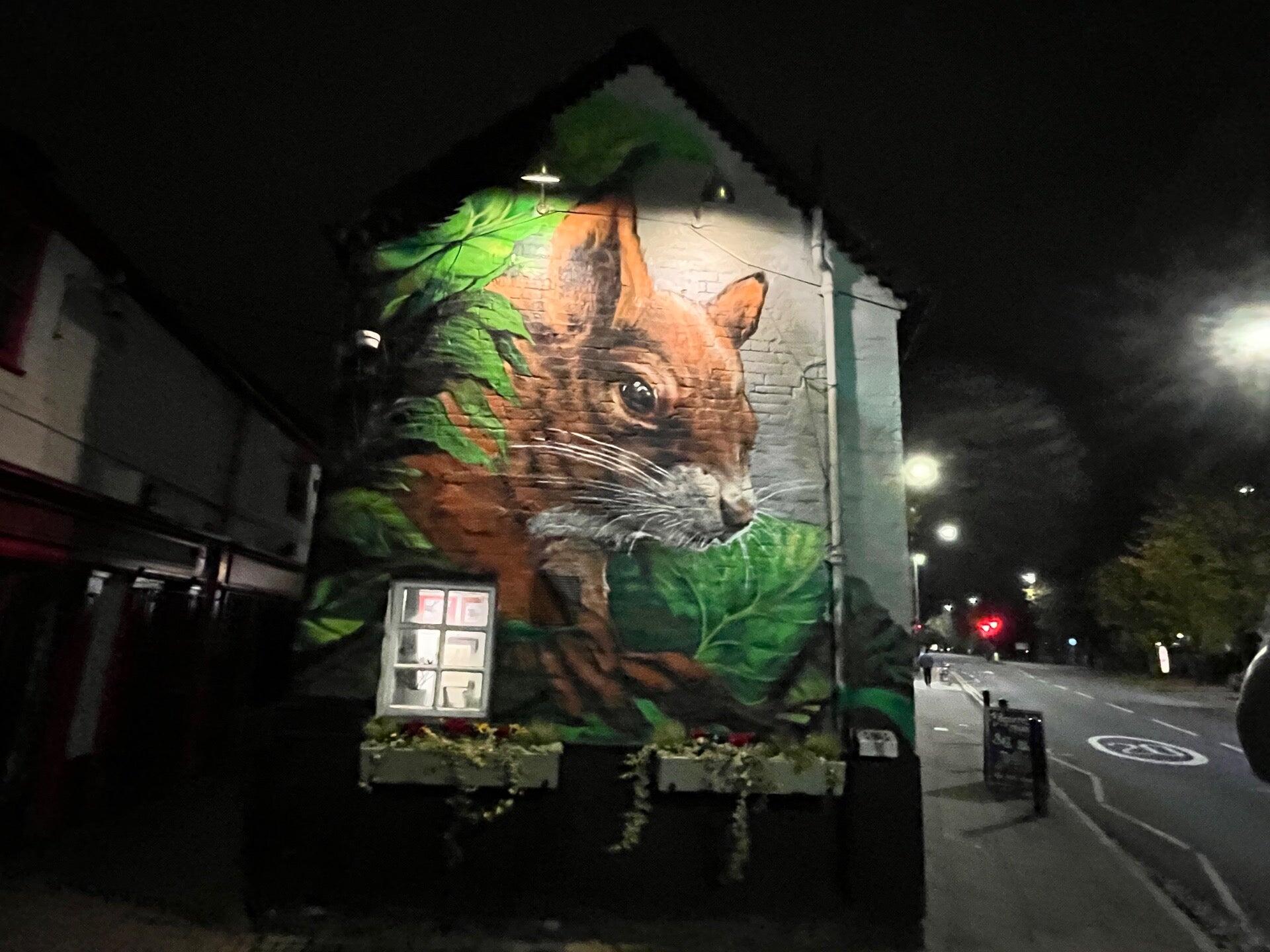 The Squirrel Inn - Rugby - Nextdoor