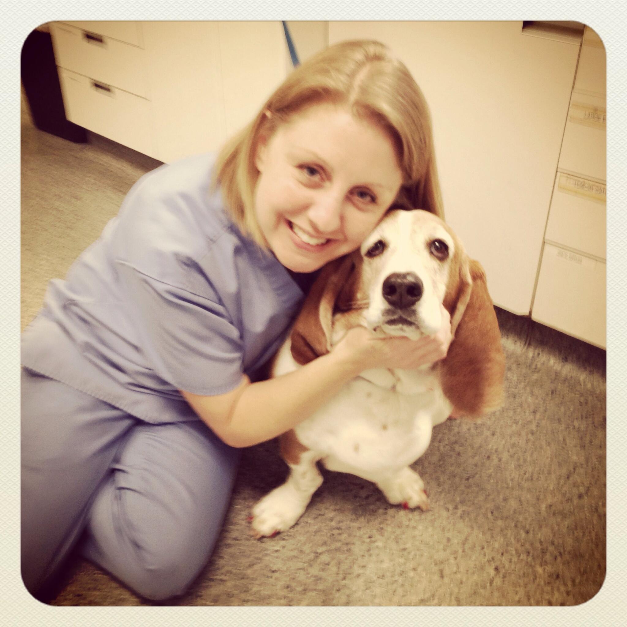 Mohnacky Animal Hospitals of Escondido - Escondido, CA - Nextdoor Mohnacky Animal Hospitals of Escondido - Escondido, CA - Nextdoor