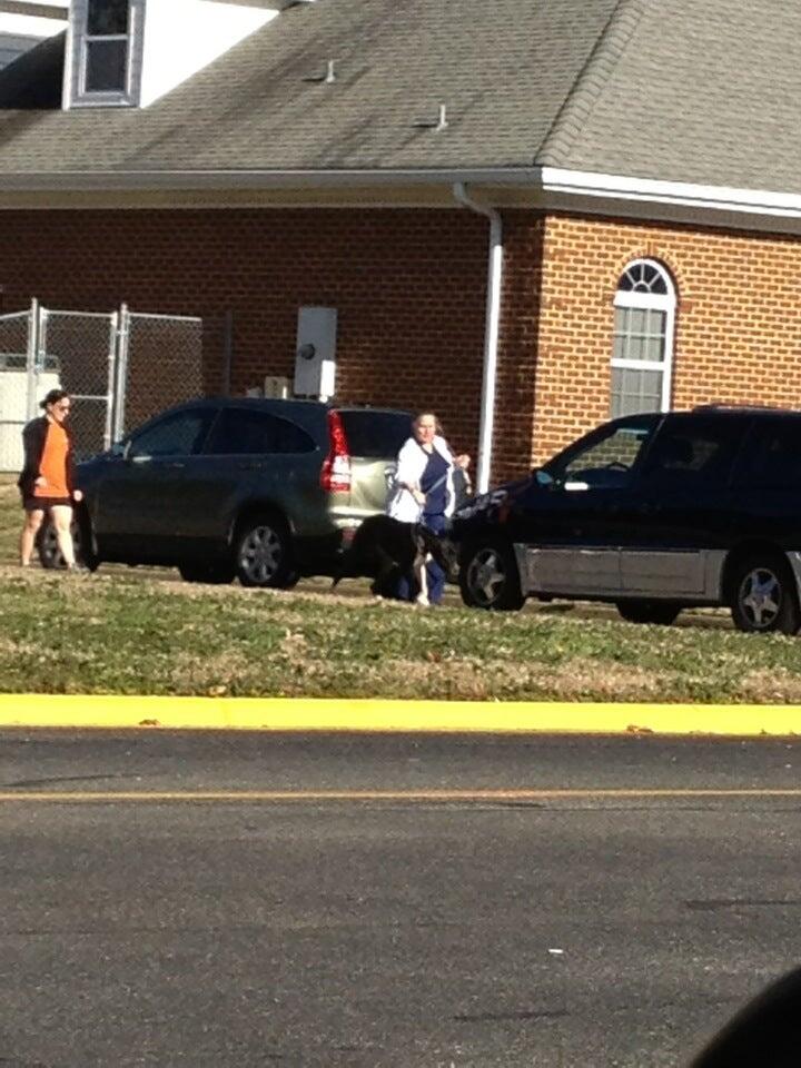 SEAFORD VETERINARY MEDICAL CENTER Yorktown, VA Nextdoor