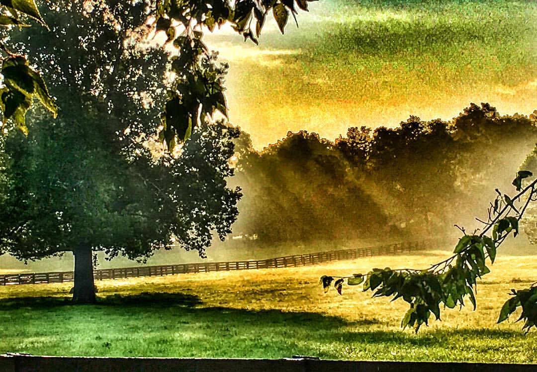 Elmendorf Farm Lexington, KY Nextdoor