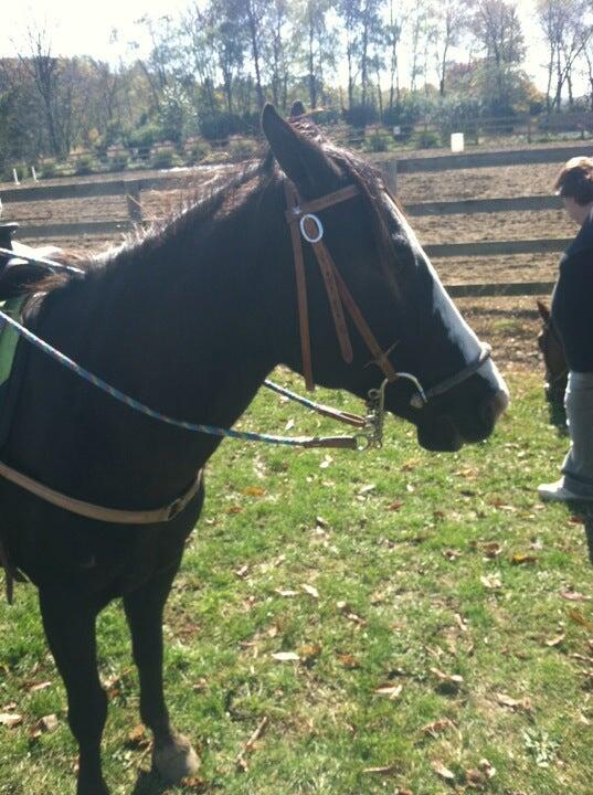 Victory Stables Apollo, PA Nextdoor