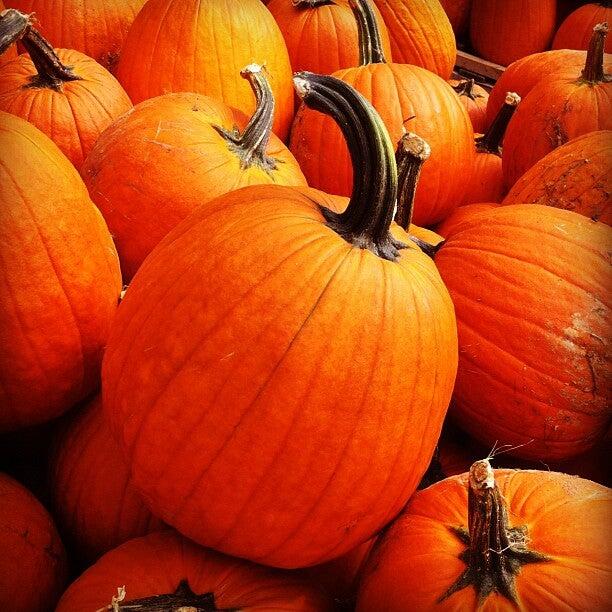 Reed's Produce & Garden Center Franklin, TN Nextdoor