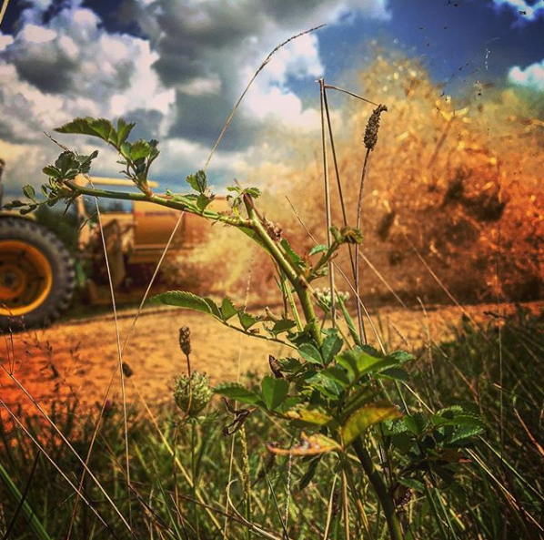 Arnold's Custom Seeding Keenesburg, CO Nextdoor