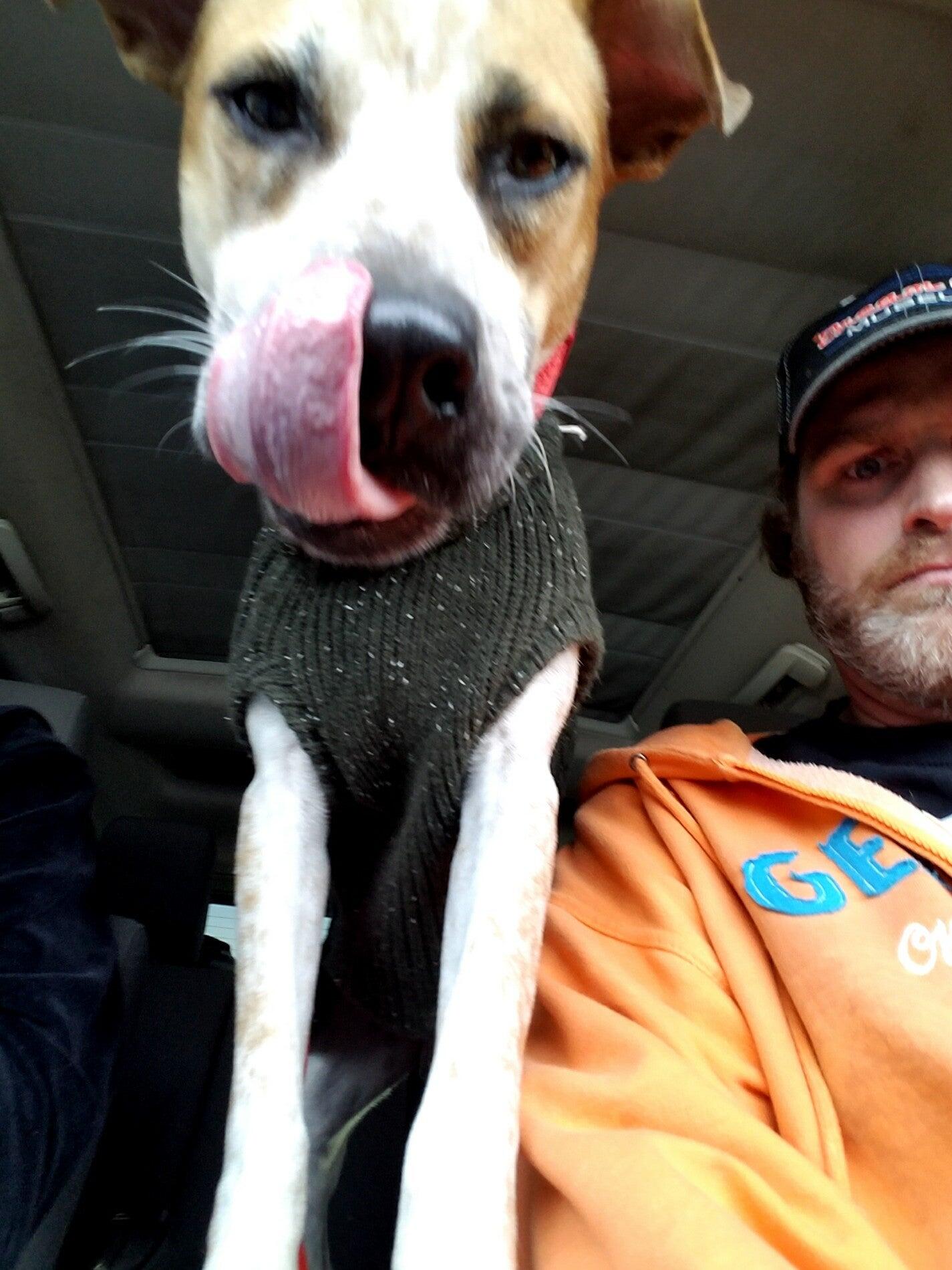 Pet Supplies Plus Evansville