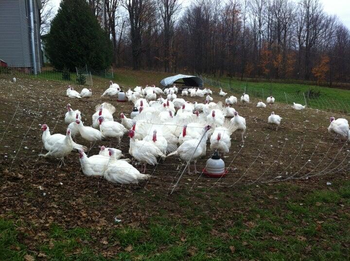 Adirondack Beef Company Croghan, NY Nextdoor
