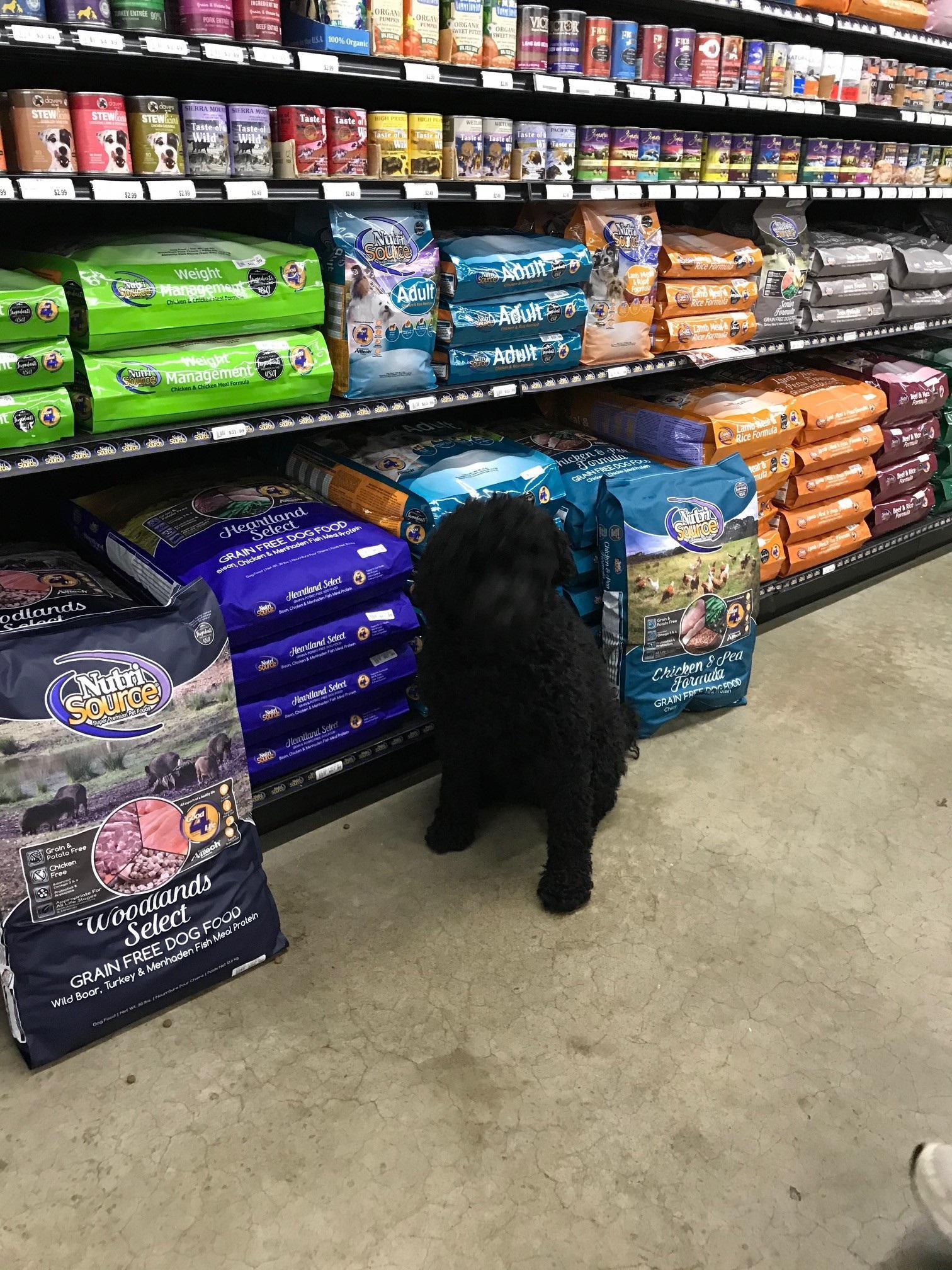 Mckenzie Feed Pet Supplies Springfield OR Nextdoor