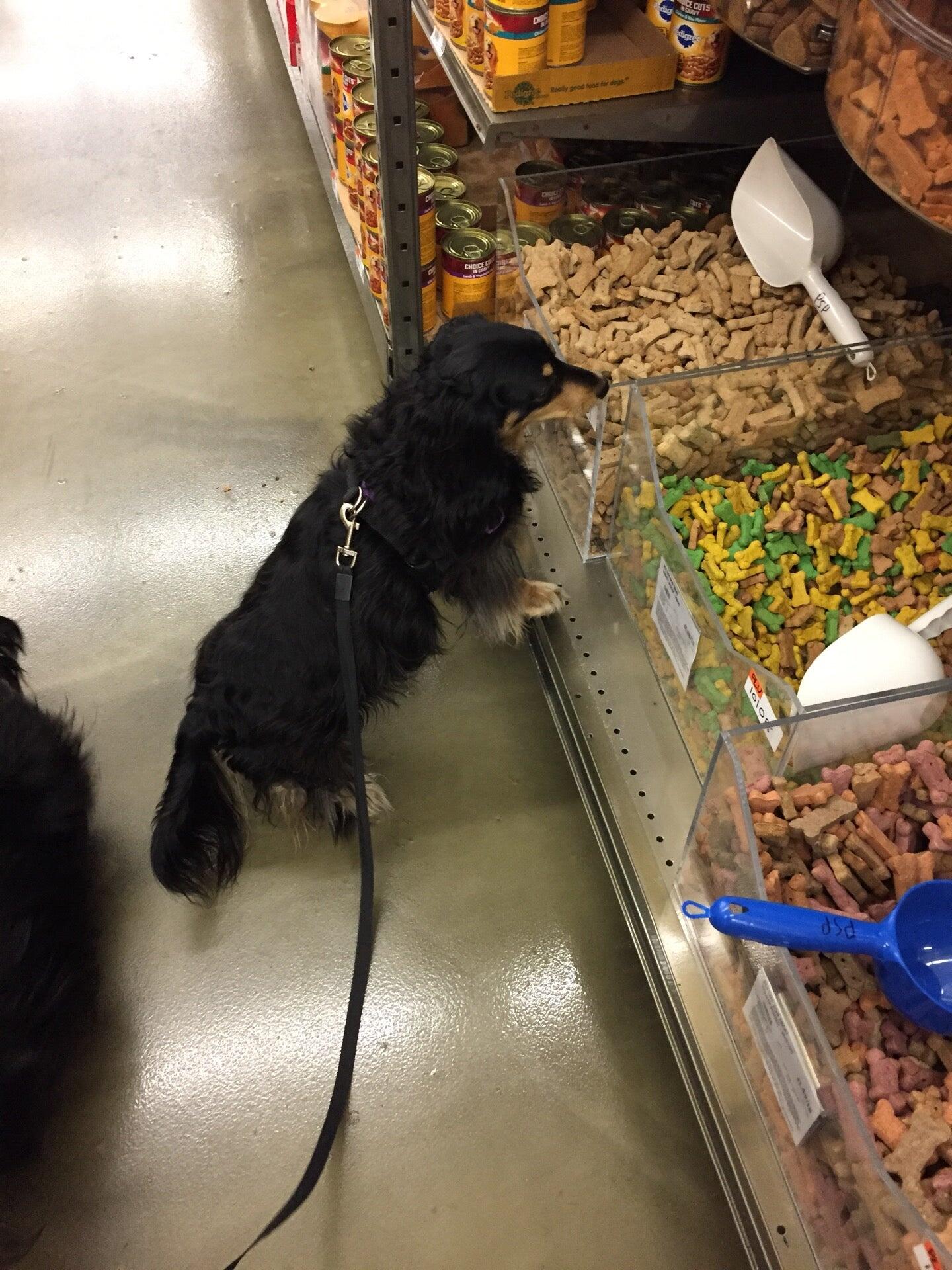 Pet Supplies Plus Deerfield Deerfield IL Nextdoor