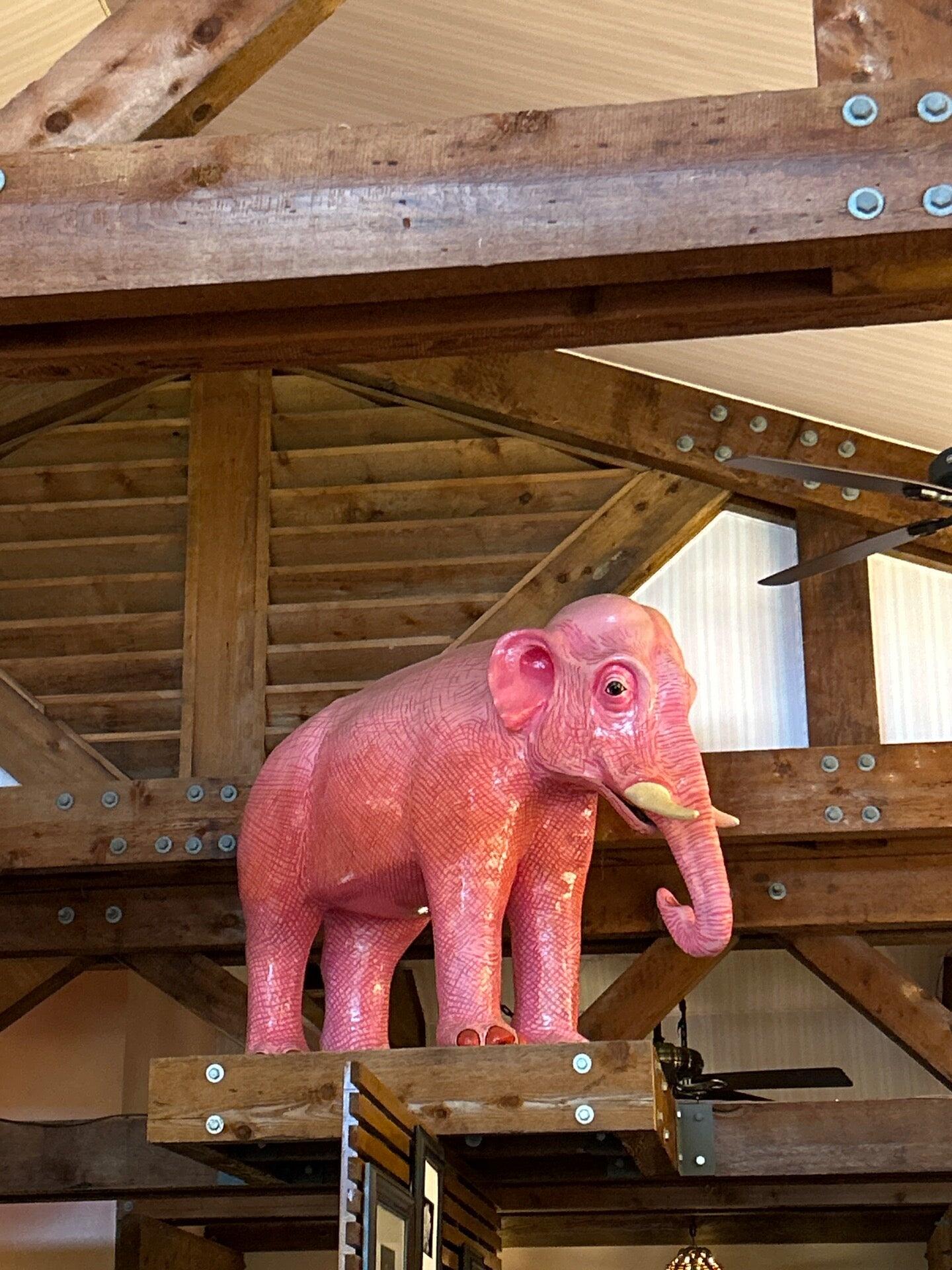 The Pink Elephant Boca Grande - 5j6un0c