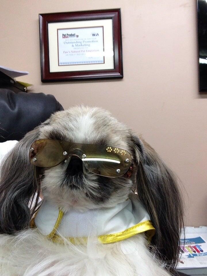 Paw's Natural Pet Emporium