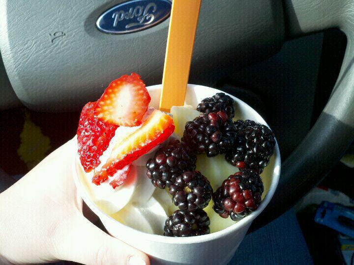 Blue Palm Frozen Yogurt Moses Lake, WA Nextdoor