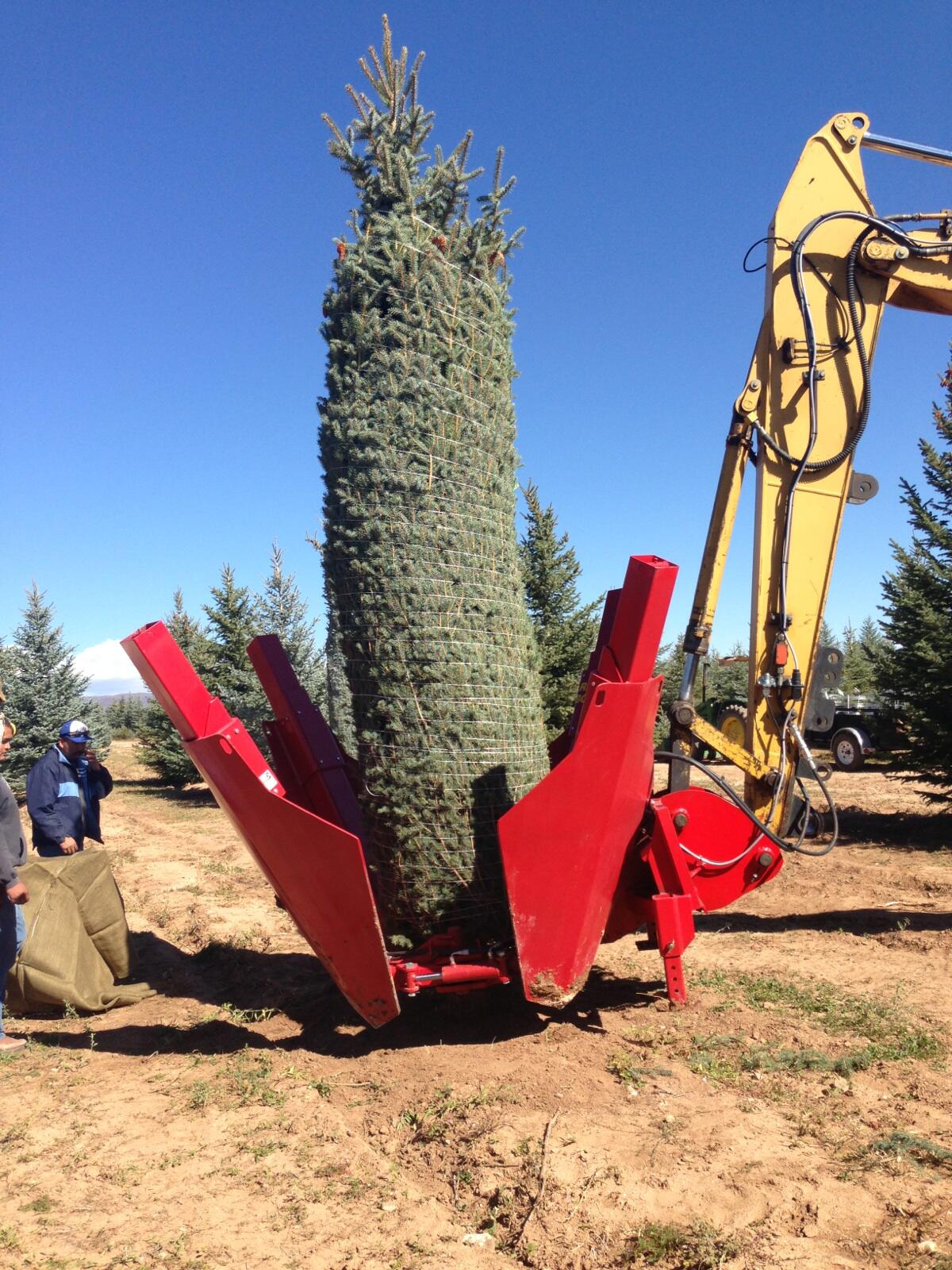 Spruce Point Tree Farm Hotchkiss, CO Nextdoor