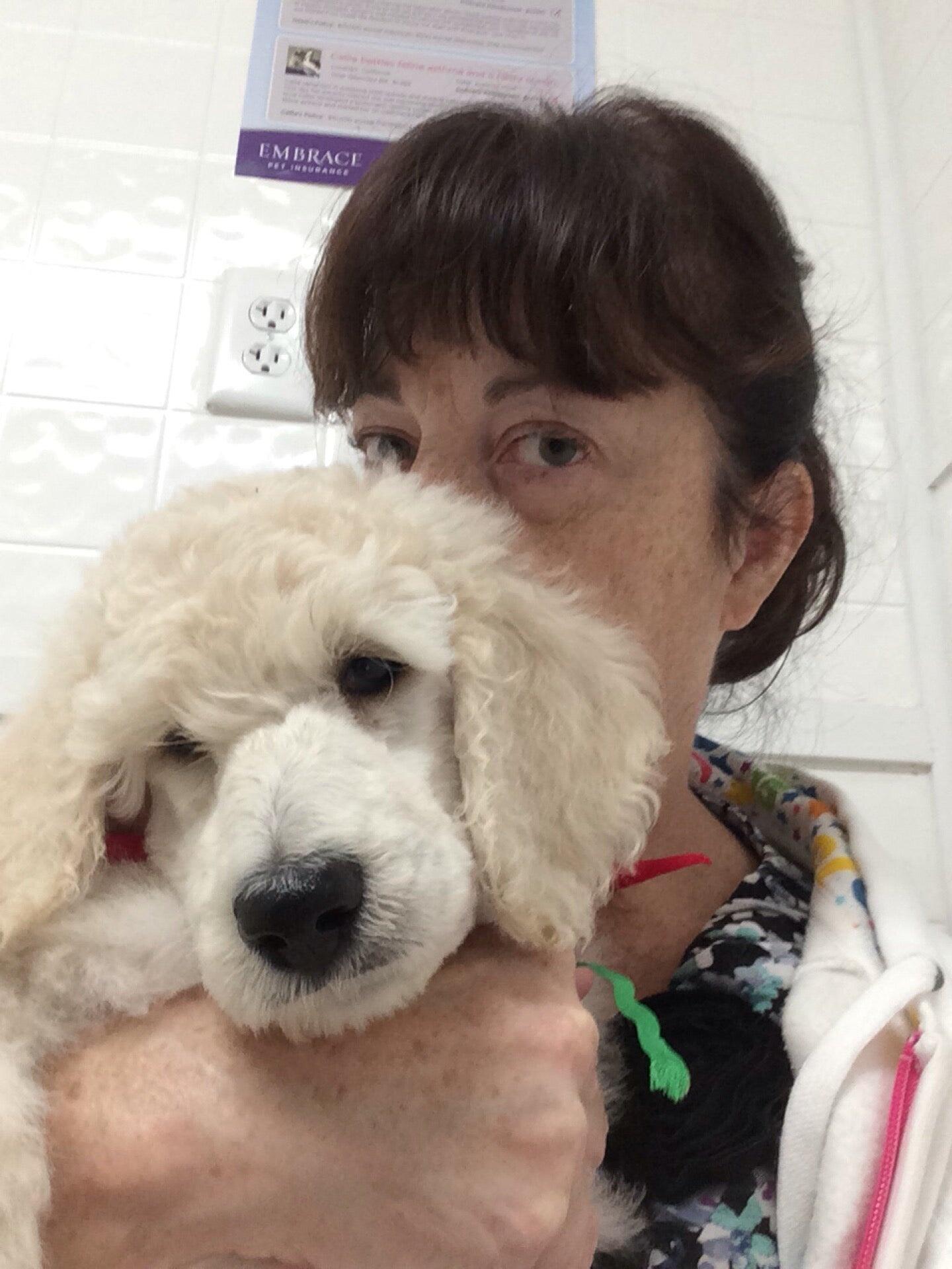 New Life Veterinary Hospital